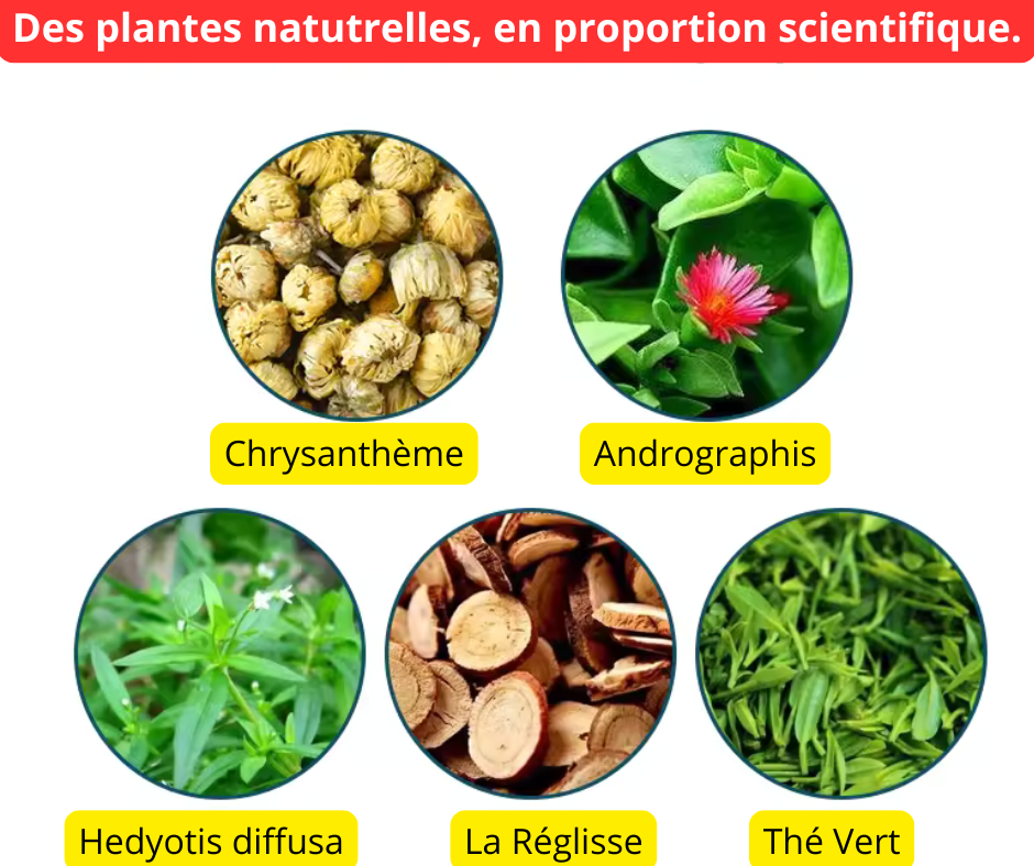 Thé contre les Hémorroides - Ne souffrez plus en silence